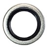 Bague BSA diam 17.27 x 23.87 x 2.1